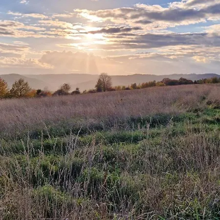Michalowka Michaelhof Tarczyn (Lwowek Slaski)