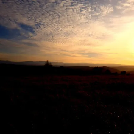 Michalowka Michaelhof Апартаменты *