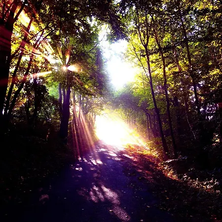 Michalowka Michaelhof Апартаменты Tarczyn (Lwowek Slaski)