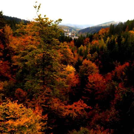 Апартаменты Michalowka Michaelhof