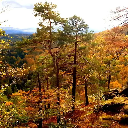 Апартаменты Michalowka Michaelhof Tarczyn (Lwowek Slaski)