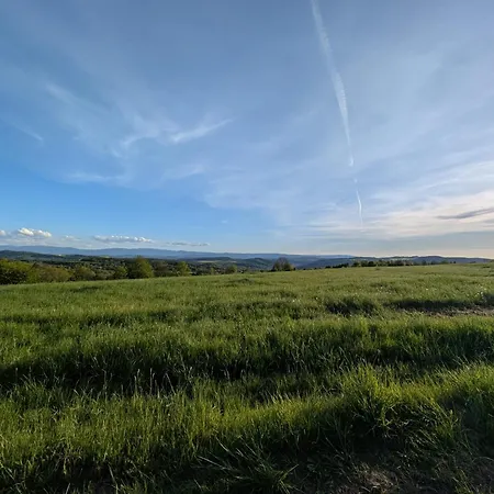 Michalowka Michaelhof * Tarczyn (Lwowek Slaski)