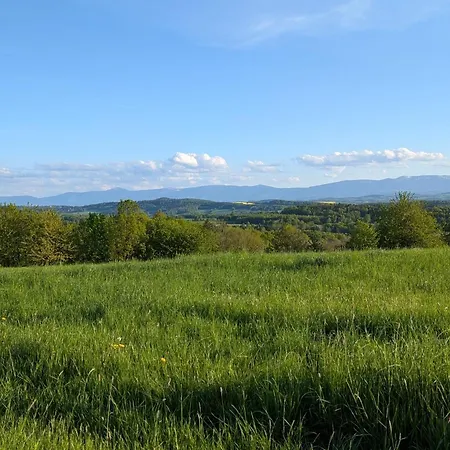 Michalowka Michaelhof Апартаменты Tarczyn (Lwowek Slaski)