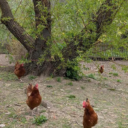 Michalowka Michaelhof