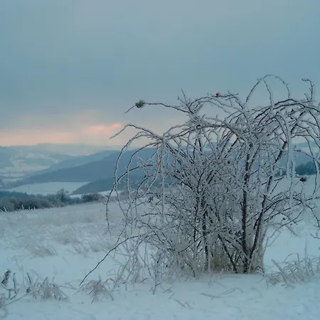 Michalowka Michaelhof * Tarczyn (Lwowek Slaski)