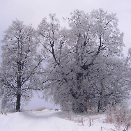 Апартаменты Michalowka Michaelhof
