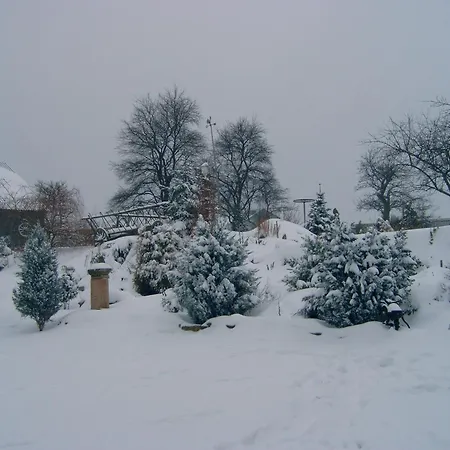 Апартаменты Michalowka Michaelhof Tarczyn (Lwowek Slaski)