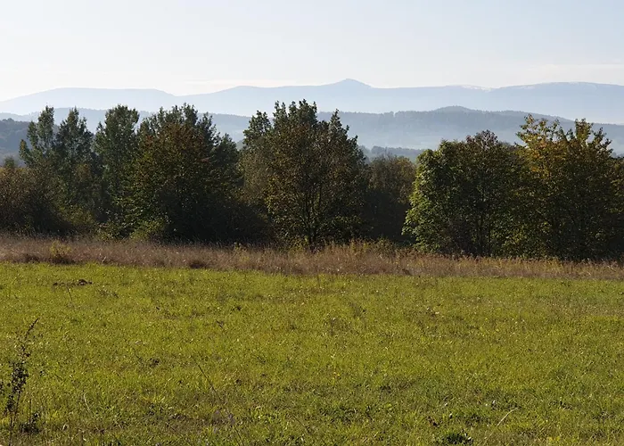 Apartment Michalowka Michaelhof