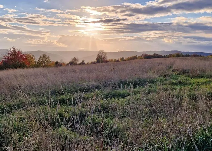 Michalowka Michaelhof Tarczyn (Lwowek Slaski)