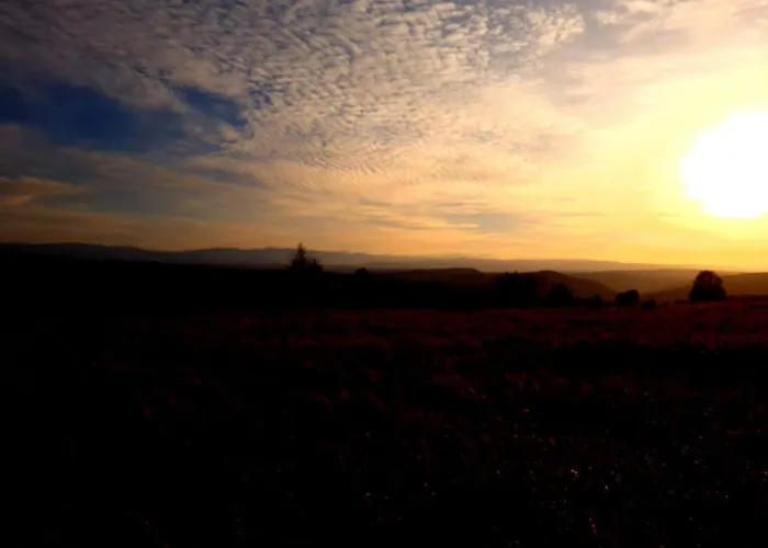 Michalowka Michaelhof Apartment *