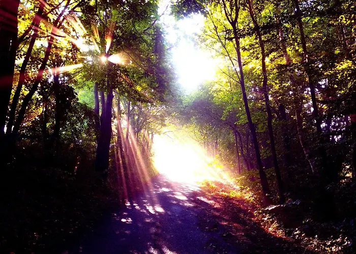 Michalowka Michaelhof Apartment Tarczyn (Lwowek Slaski)