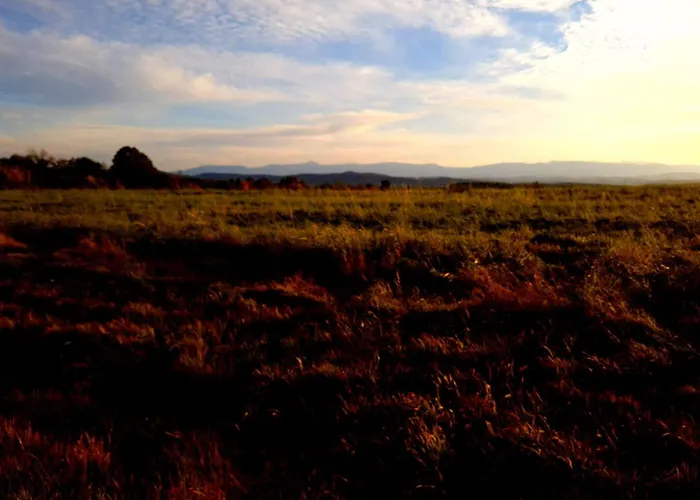 Michalowka Michaelhof *