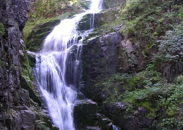 Michalowka Michaelhof Tarczyn (Lwowek Slaski)