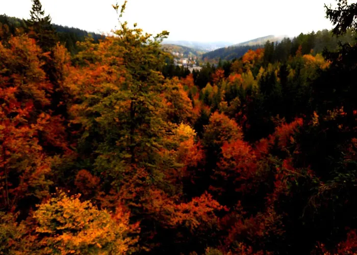 Apartment Michalowka Michaelhof