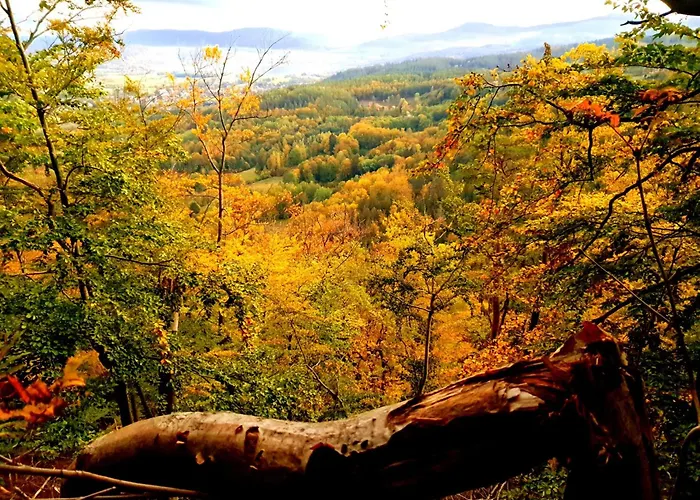 Michalowka Michaelhof Apartment *