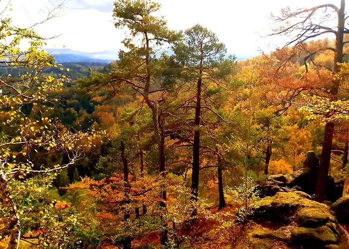 Apartment Michalowka Michaelhof Tarczyn (Lwowek Slaski)