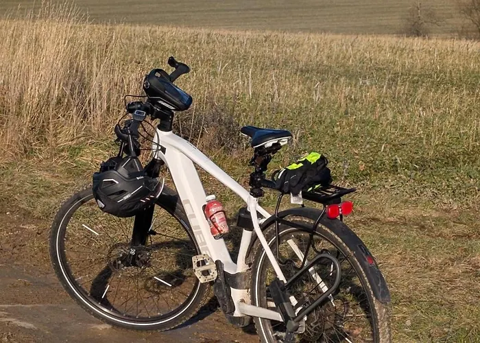 Michalowka Michaelhof Tarczyn (Lwowek Slaski)