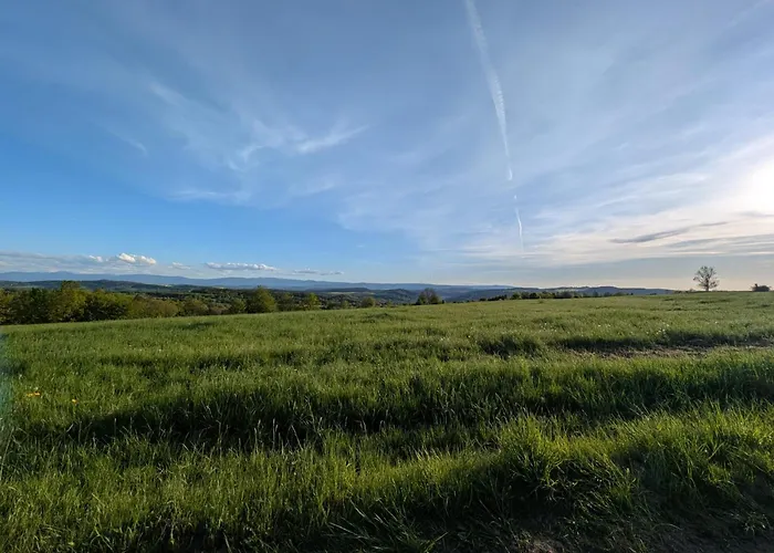 Michalowka Michaelhof * Tarczyn (Lwowek Slaski)