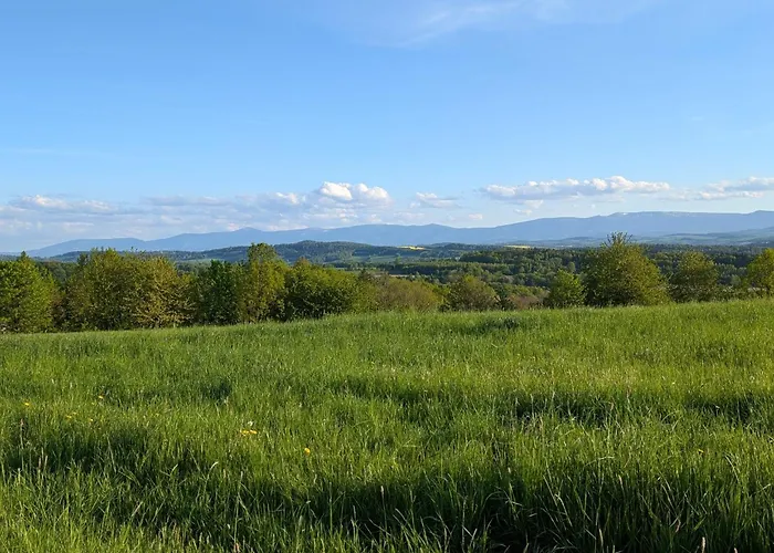 Michalowka Michaelhof Apartment Tarczyn (Lwowek Slaski)