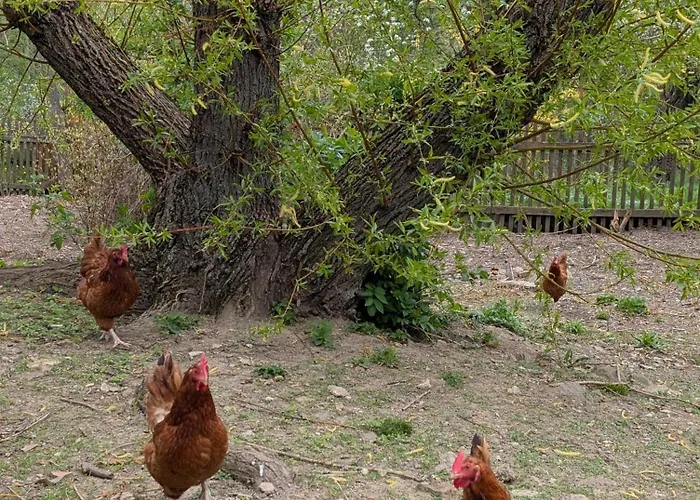 Michalowka Michaelhof