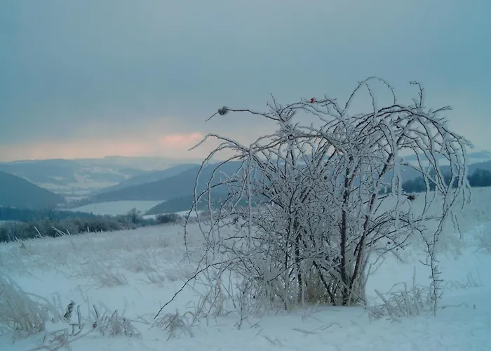 Michalowka Michaelhof * Tarczyn (Lwowek Slaski)