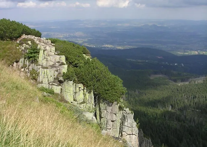 Michalowka Michaelhof Apartment *