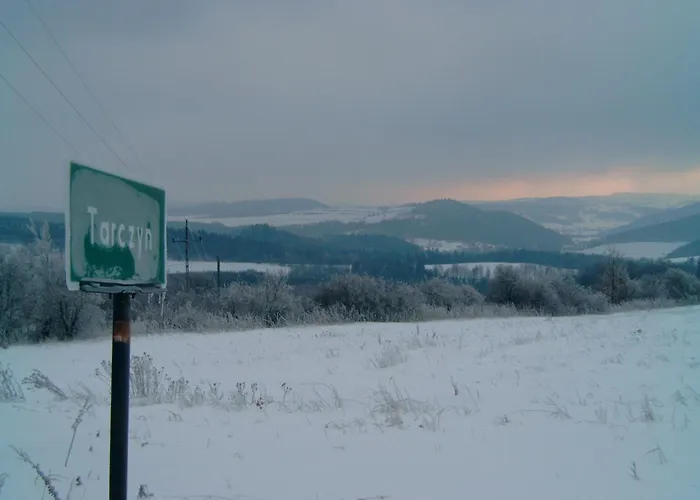 Michalowka Michaelhof Apartment Tarczyn (Lwowek Slaski)