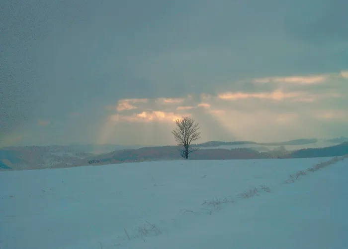 Apartment Michalowka Michaelhof Tarczyn (Lwowek Slaski)