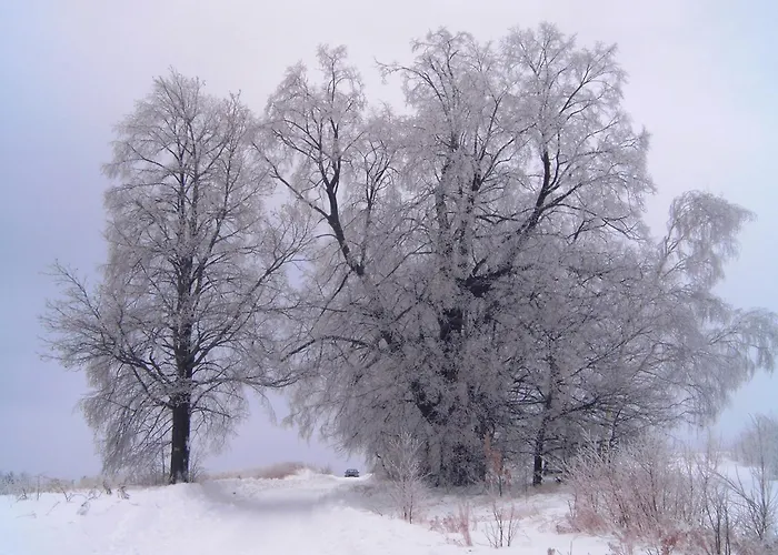 Apartment Michalowka Michaelhof